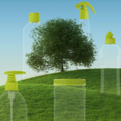 Join Riekes Journey Toward a Bright Future of Sustainable Innovation